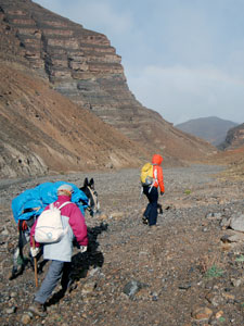 Crossing into the Taghia with a mule in Morocco