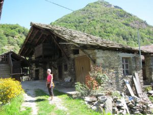 IMG_0892